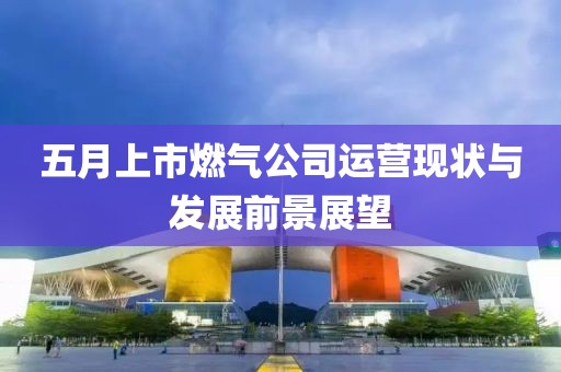 五月上市燃气公司运营现状与发展前景展望