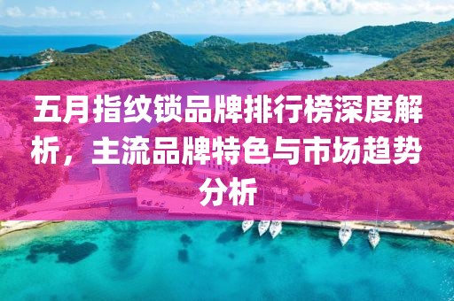 五月指纹锁品牌排行榜深度解析，主流品牌特色与市场趋势分析