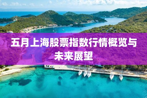 五月上海股票指数行情概览与未来展望