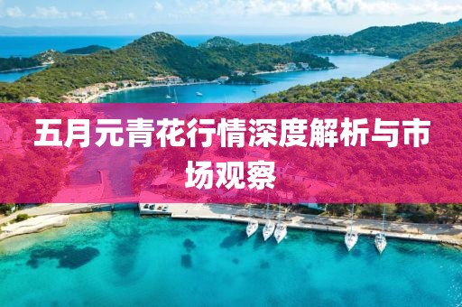 五月元青花行情深度解析与市场观察