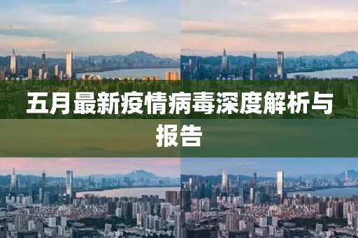五月最新疫情病毒深度解析与报告