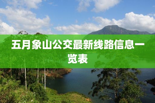 五月象山公交最新线路信息一览表