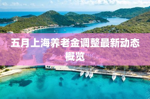 五月上海养老金调整最新动态概览