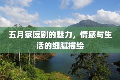 五月家庭剧的魅力，情感与生活的细腻描绘