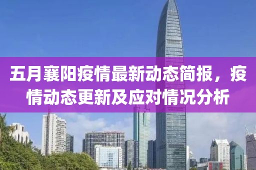 五月襄阳疫情最新动态简报，疫情动态更新及应对情况分析