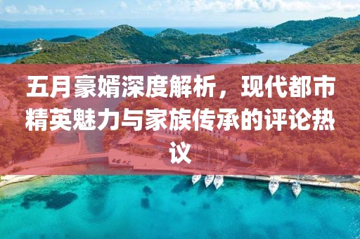 五月豪婿深度解析，现代都市精英魅力与家族传承的评论热议