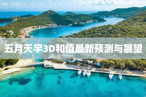 五月天宇3D和值最新预测与展望