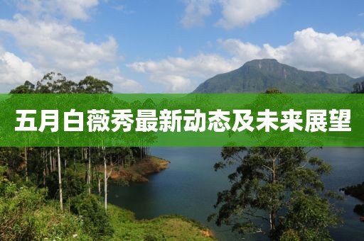 五月白薇秀最新动态及未来展望