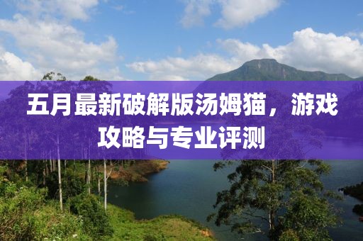 五月最新破解版汤姆猫，游戏攻略与专业评测