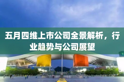 五月四维上市公司全景解析，行业趋势与公司展望