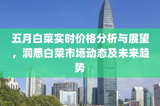 五月白菜实时价格分析与展望，洞悉白菜市场动态及未来趋势