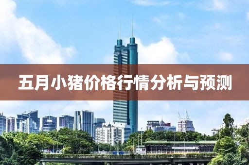 五月小猪价格行情分析与预测