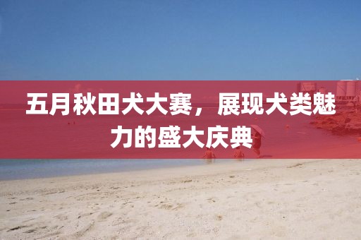 五月秋田犬大赛，展现犬类魅力的盛大庆典