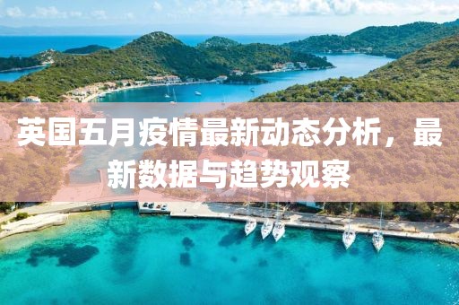 英国五月疫情最新动态分析，最新数据与趋势观察