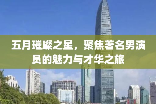 五月璀璨之星，聚焦著名男演员的魅力与才华之旅