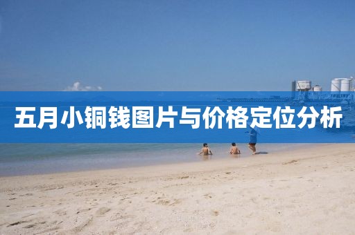 五月小铜钱图片与价格定位分析