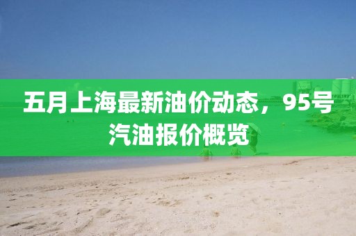 五月上海最新油价动态，95号汽油报价概览