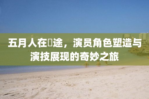 五月人在囧途，演员角色塑造与演技展现的奇妙之旅