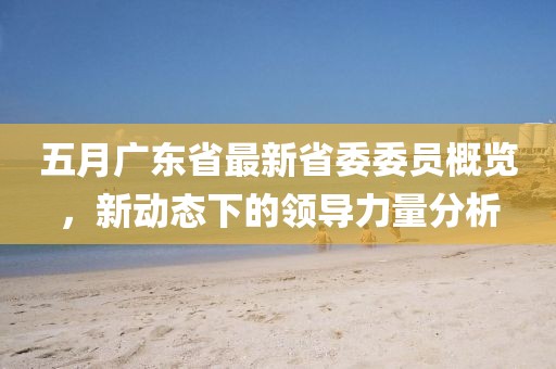 五月广东省最新省委委员概览，新动态下的领导力量分析