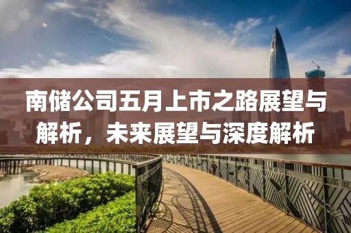 南储公司五月上市之路展望与解析，未来展望与深度解析