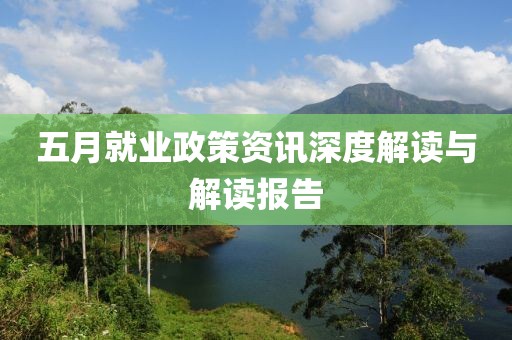 五月就业政策资讯深度解读与解读报告