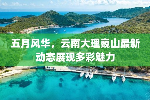 五月风华，云南大理巍山最新动态展现多彩魅力