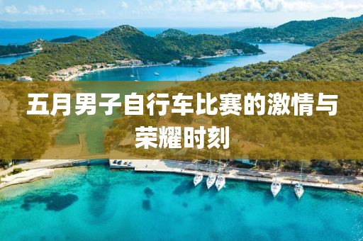 五月男子自行车比赛的激情与荣耀时刻