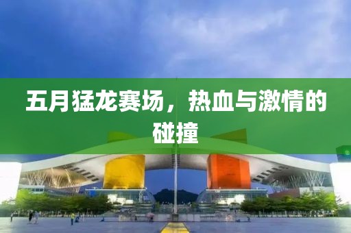 五月猛龙赛场，热血与激情的碰撞