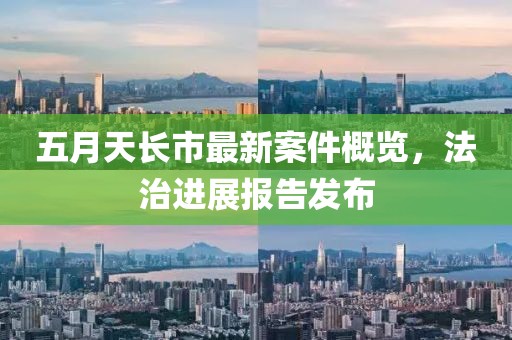五月天长市最新案件概览，法治进展报告发布
