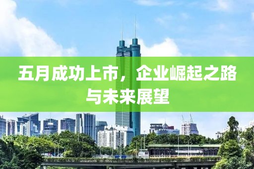 五月成功上市，企业崛起之路与未来展望