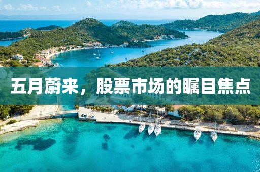 五月蔚来，股票市场的瞩目焦点