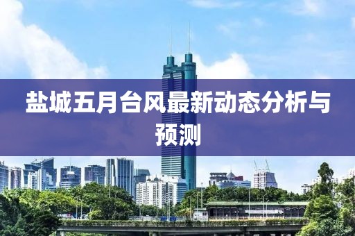 盐城五月台风最新动态分析与预测