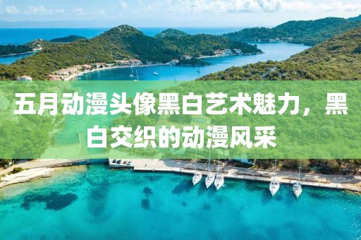 五月动漫头像黑白艺术魅力，黑白交织的动漫风采