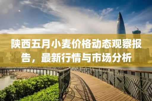 陕西五月小麦价格动态观察报告，最新行情与市场分析