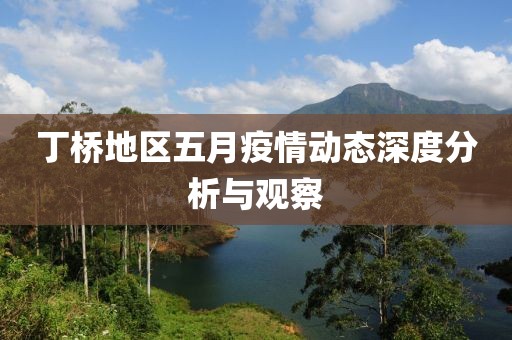 丁桥地区五月疫情动态深度分析与观察