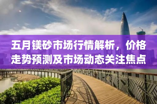 五月镁砂市场行情解析，价格走势预测及市场动态关注焦点