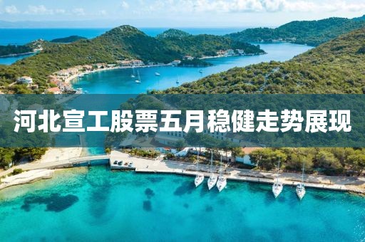 河北宣工股票五月稳健走势展现