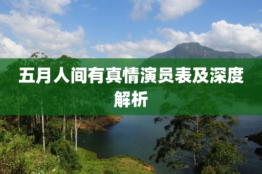 五月人间有真情演员表及深度解析