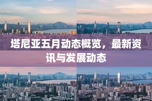 塔尼亚五月动态概览，最新资讯与发展动态