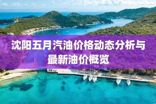 沈阳五月汽油价格动态分析与最新油价概览