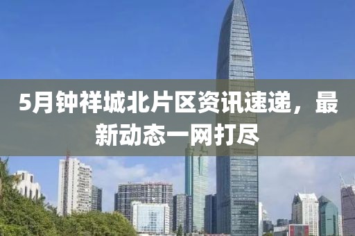 5月钟祥城北片区资讯速递，最新动态一网打尽