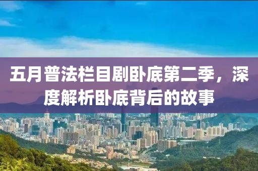 五月普法栏目剧卧底第二季，深度解析卧底背后的故事