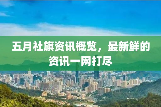 五月社旗资讯概览，最新鲜的资讯一网打尽