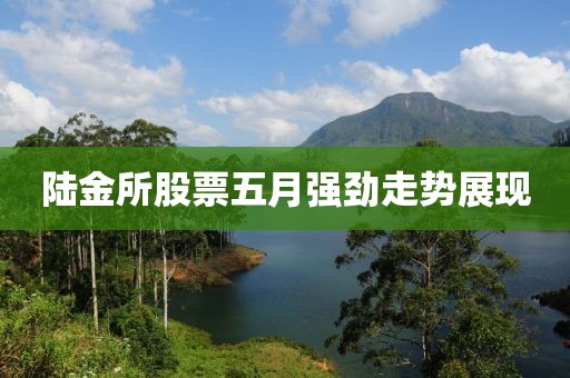 陆金所股票五月强劲走势展现