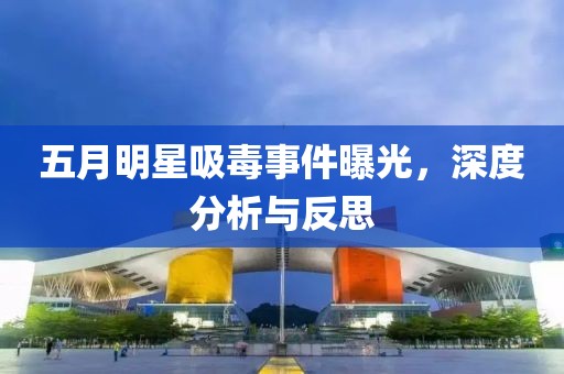 五月明星吸毒事件曝光，深度分析与反思