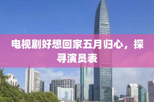 电视剧好想回家五月归心，探寻演员表
