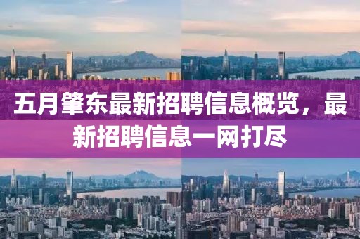 五月肇东最新招聘信息概览，最新招聘信息一网打尽