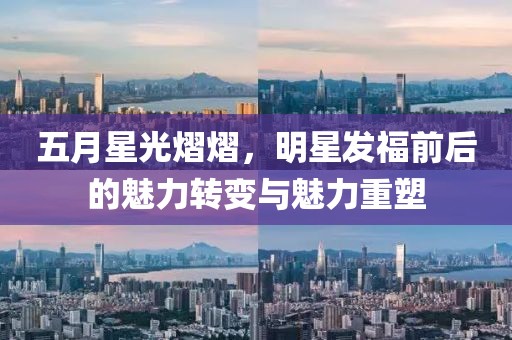 五月星光熠熠，明星发福前后的魅力转变与魅力重塑