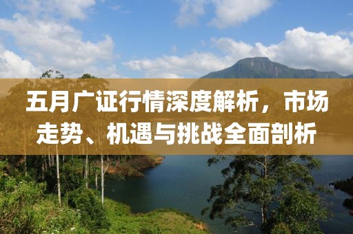 五月广证行情深度解析，市场走势、机遇与挑战全面剖析
