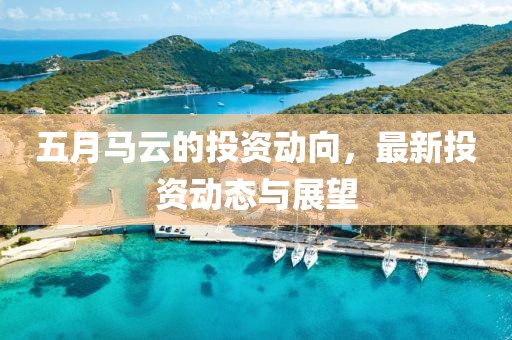 五月马云的投资动向，最新投资动态与展望